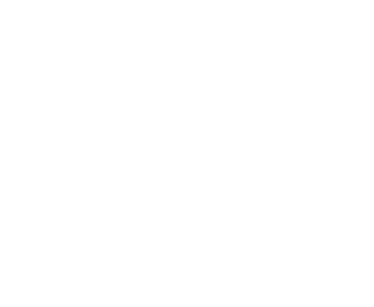cairo menezes logo